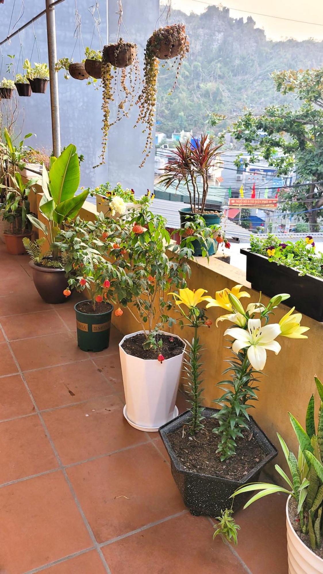 Tiny Garden House Cat Ba Hotel Chan Chau Exterior photo