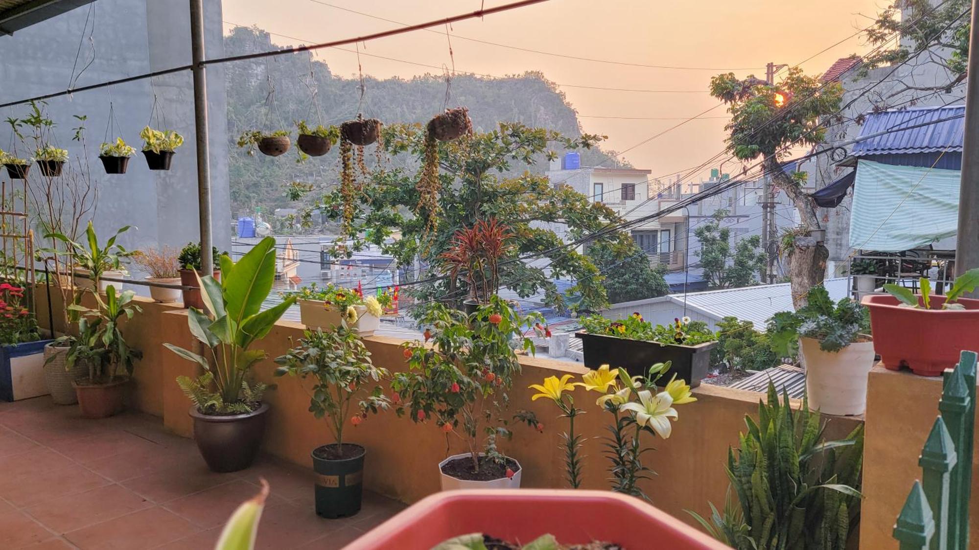 Tiny Garden House Cat Ba Hotel Chan Chau Exterior photo